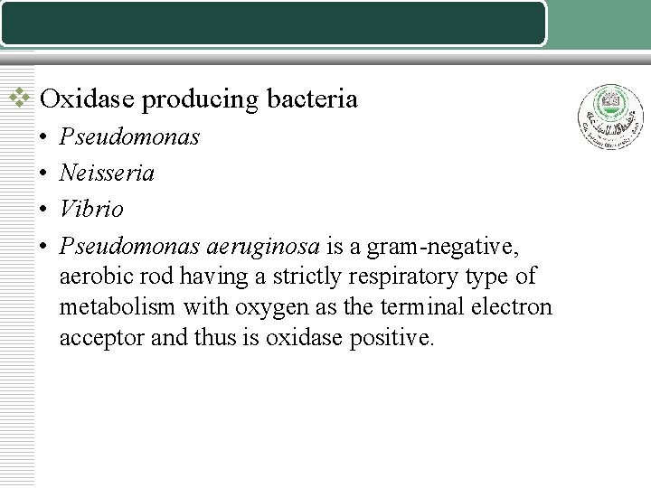 v Oxidase producing bacteria • • Pseudomonas Neisseria Vibrio Pseudomonas aeruginosa is a gram-negative,