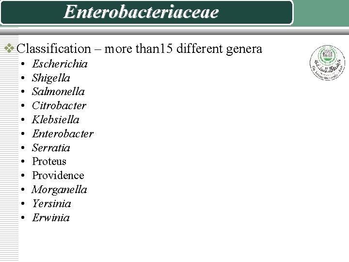 Enterobacteriaceae v Classification – more than 15 different genera • • • Escherichia Shigella