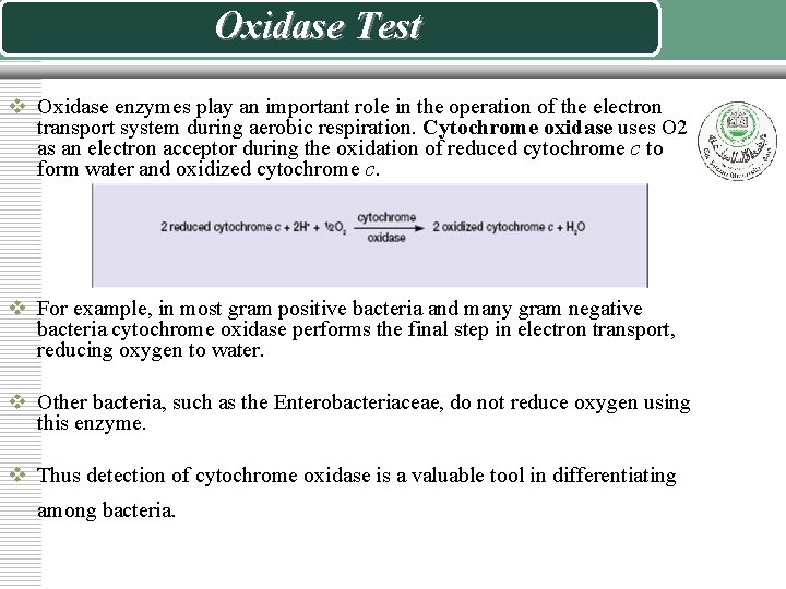 Oxidase Test v Oxidase enzymes play an important role in the operation of the