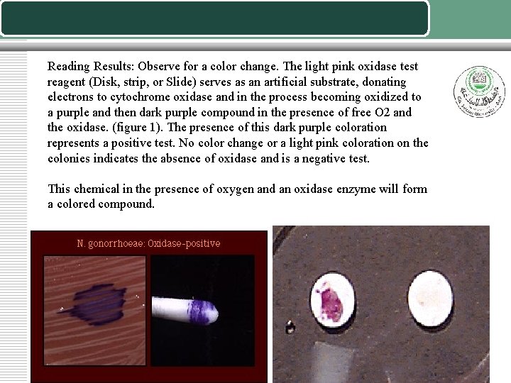 Reading Results: Observe for a color change. The light pink oxidase test reagent (Disk,