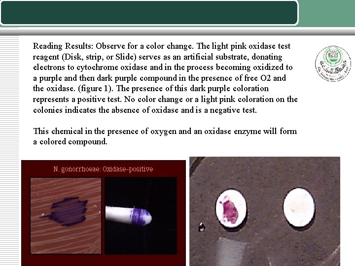 Reading Results: Observe for a color change. The light pink oxidase test reagent (Disk,