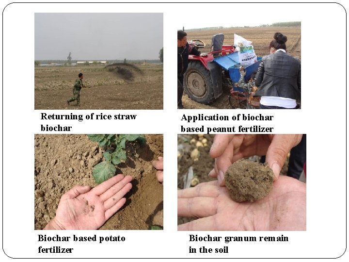 Returning of rice straw biochar Biochar based potato fertilizer Application of biochar based peanut