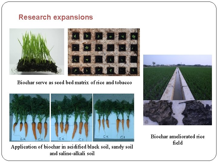 Research expansions Biochar serve as seed bed matrix of rice and tobacco Application of