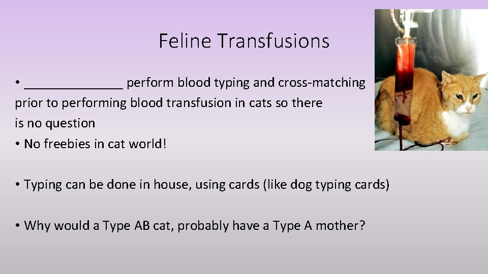 Feline Transfusions • _______ perform blood typing and cross-matching prior to performing blood transfusion