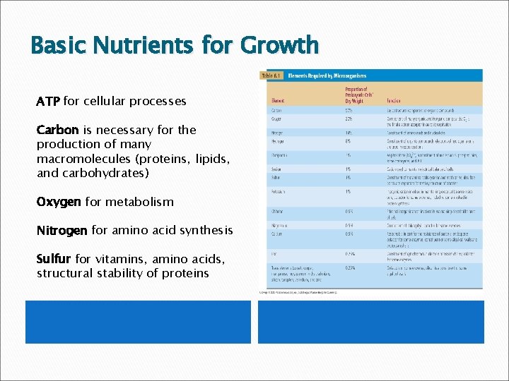 Basic Nutrients for Growth ATP for cellular processes Carbon is necessary for the production