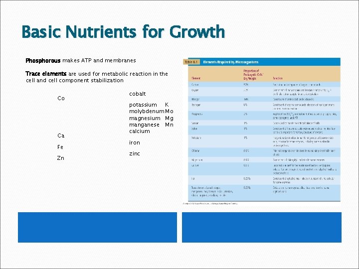 Basic Nutrients for Growth Phosphorous makes ATP and membranes Trace elements are used for