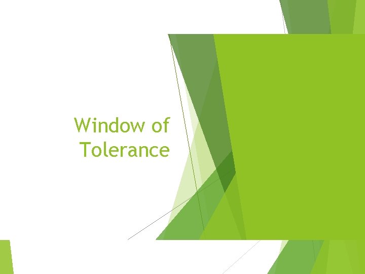 Window of Tolerance 