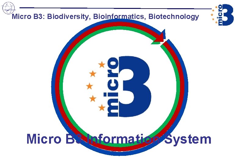 Micro B 3: Biodiversity, Bioinformatics, Biotechnology Micro B 3 Information System Micro B 3: Biodiversity, Bioinformatics, Biotechnology Micro B 3 Information System