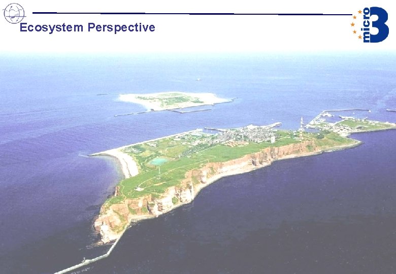 Ecosystem Perspective 2 Ecosystem Perspective 2