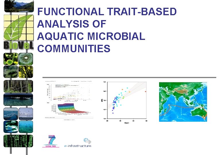 FUNCTIONAL TRAIT-BASED ANALYSIS OF AQUATIC MICROBIAL COMMUNITIES FUNCTIONAL TRAIT-BASED ANALYSIS OF AQUATIC MICROBIAL COMMUNITIES