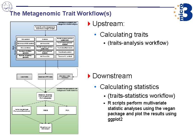 The Metagenomic Trait Workflow(s) 4 Upstream: • Calculating traits (traits-analysis workflow) 4 Downstream • The Metagenomic Trait Workflow(s) 4 Upstream: • Calculating traits (traits-analysis workflow) 4 Downstream •