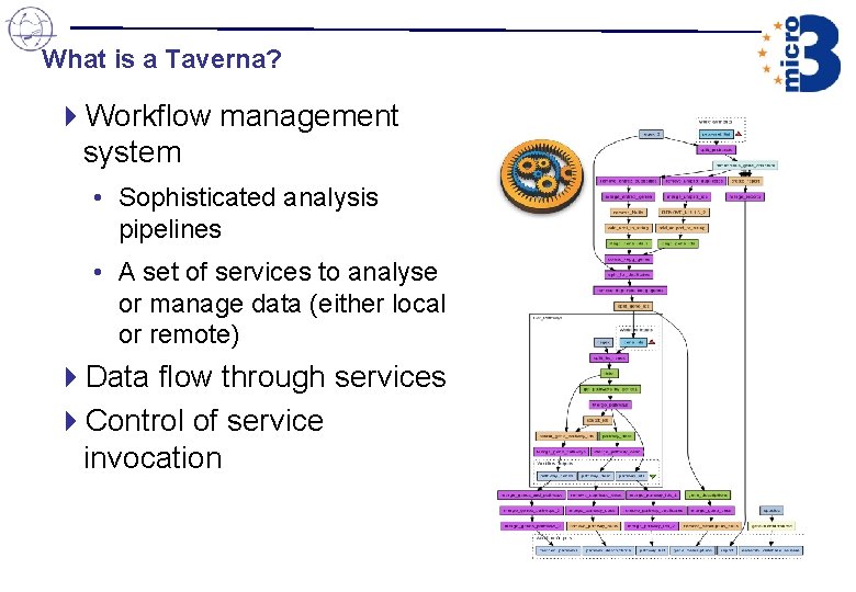 What is a Taverna? 4 Workflow management system • Sophisticated analysis pipelines • A What is a Taverna? 4 Workflow management system • Sophisticated analysis pipelines • A