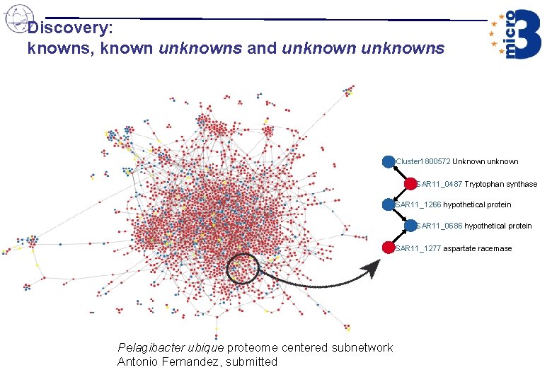 Discovery: knowns, known unknowns and unknowns Cluster 1800572 Unknown unknown SAR 11_0487 Tryptophan synthase Discovery: knowns, known unknowns and unknowns Cluster 1800572 Unknown unknown SAR 11_0487 Tryptophan synthase