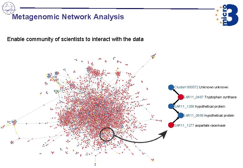 Metagenomic Network Analysis Enable community of scientists to interact with the data Cluster 1800572 Metagenomic Network Analysis Enable community of scientists to interact with the data Cluster 1800572