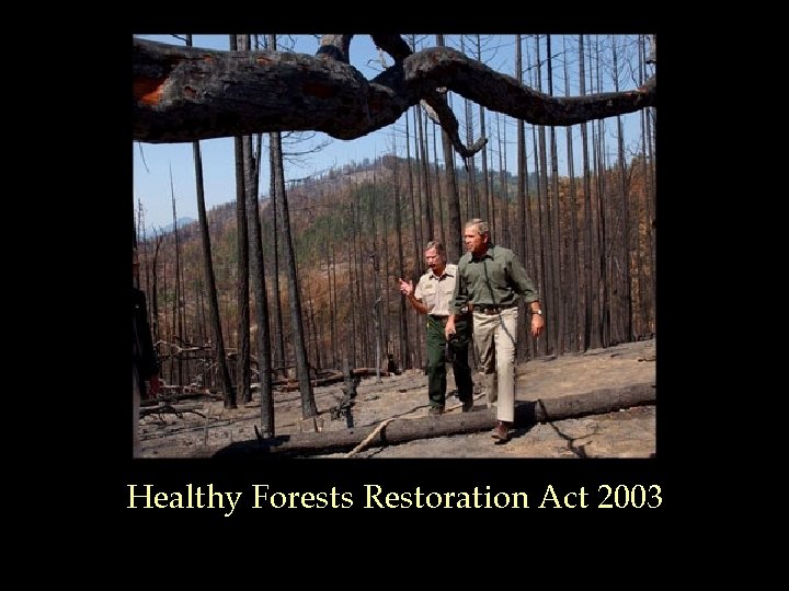 Healthy Forests Restoration Act 2003 