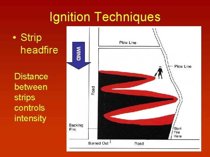 Ignition Techniques Distance between strips controls intensity WIND • Strip headfire 