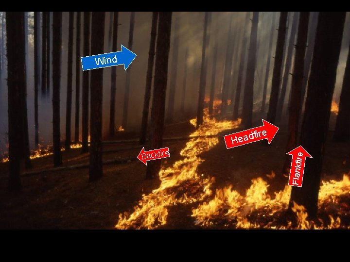 Wind ire e Backfir Flankfire f Head 