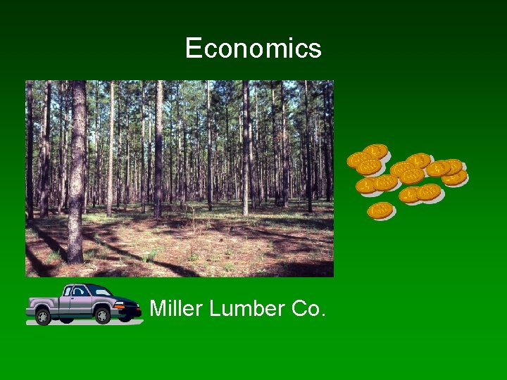 Economics Miller Lumber Co. 
