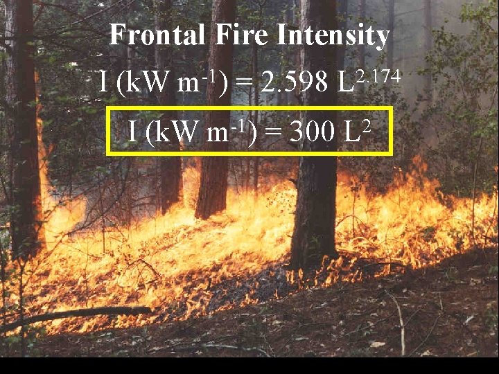 Frontal Fire Intensity I (k. W -1 m ) I (k. W = 2.