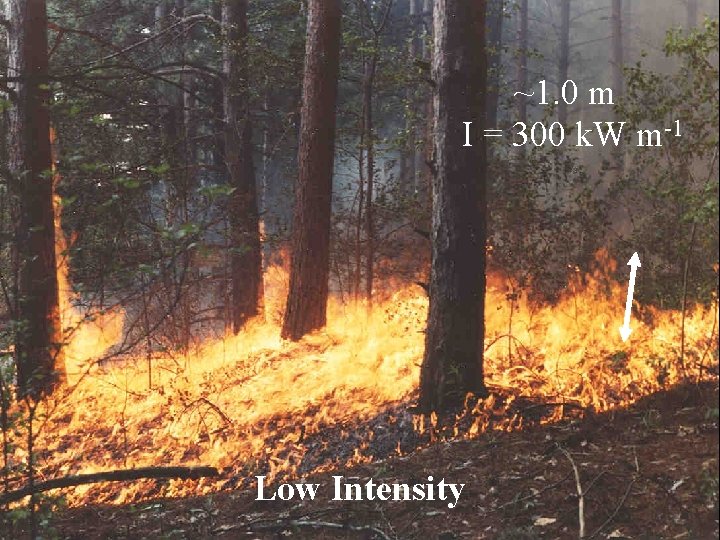 ~1. 0 m I = 300 k. W m-1 ~0. 5 m Intensity Low