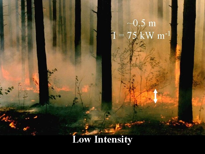 ~0. 5 m I = 75 k. W m-1 Low Intensity 