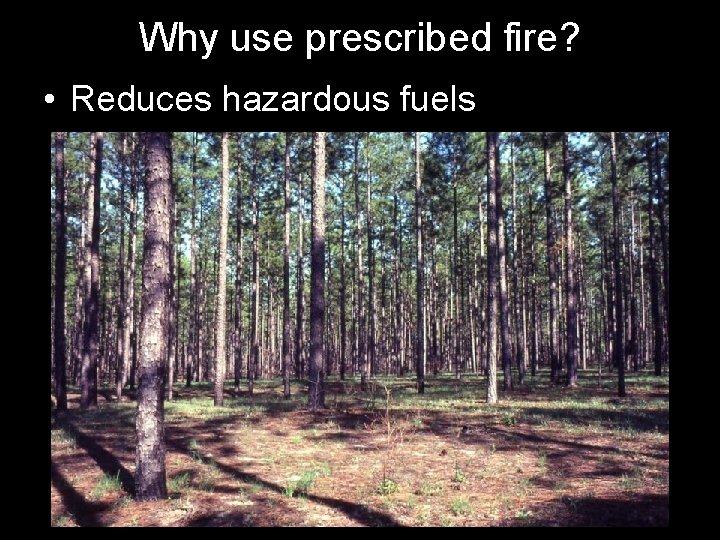 Why use prescribed fire? • Reduces hazardous fuels 