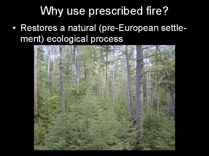 Why use prescribed fire? • Restores a natural (pre-European settlement) ecological process 