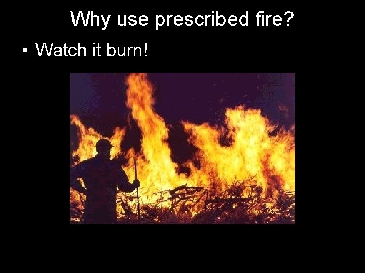 Why use prescribed fire? • Watch it burn! 