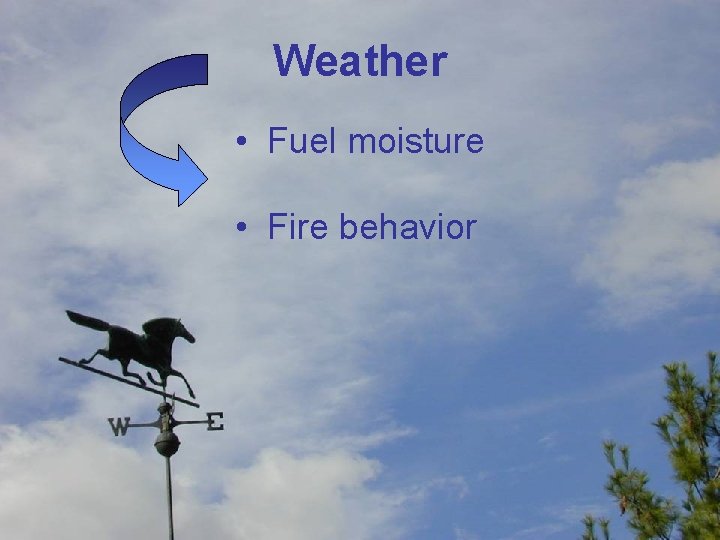 Weather • Fuel moisture • Fire behavior 