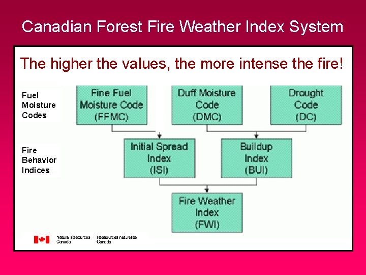 Canadian Forest Fire Weather Index System The higher the values, the more intense the
