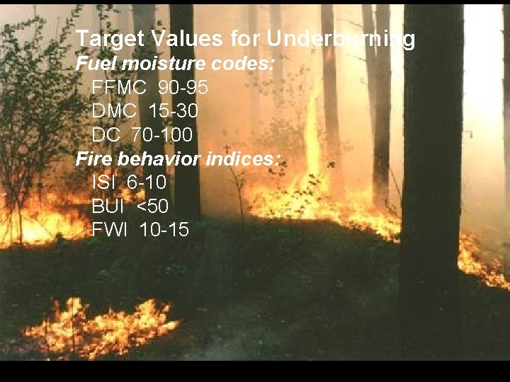 Target Values for Underburning Fuel moisture codes: FFMC 90 -95 DMC 15 -30 DC