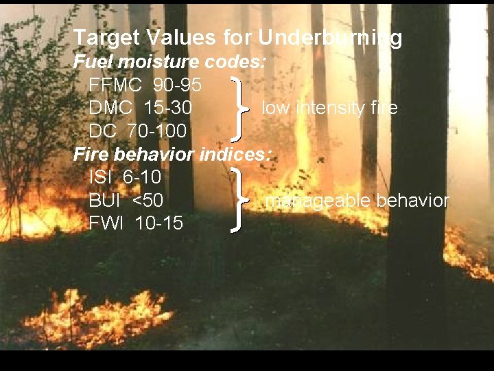 Target Values for Underburning Fuel moisture codes: FFMC 90 -95 DMC 15 -30 low