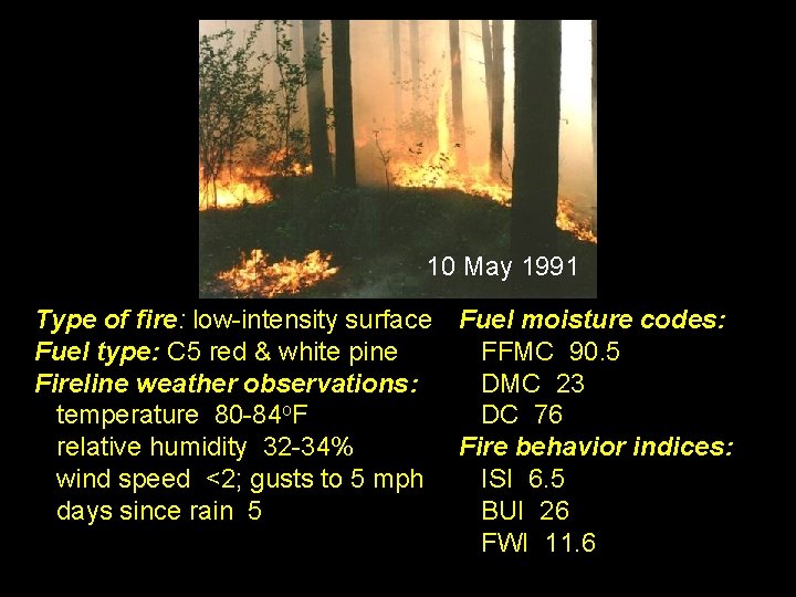 10 May 1991 Type of fire: low-intensity surface Fuel type: C 5 red &