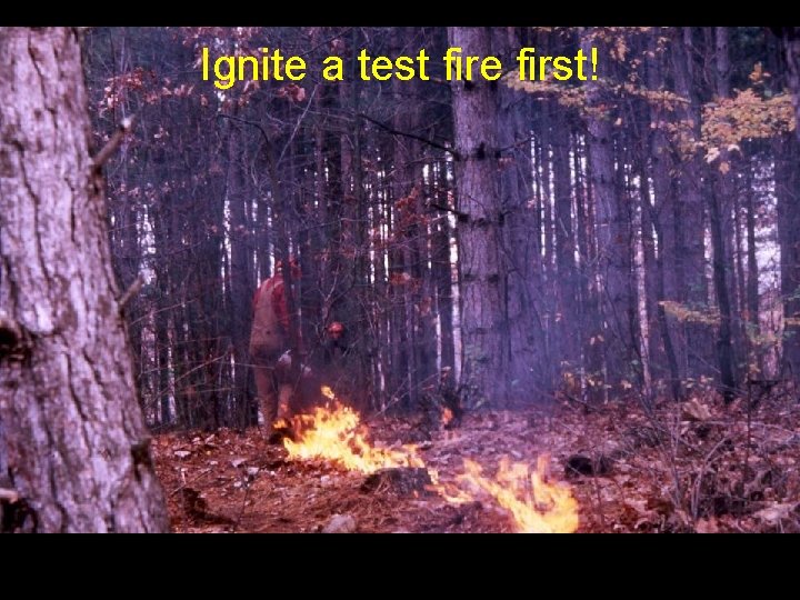 Ignite a test fire first! 