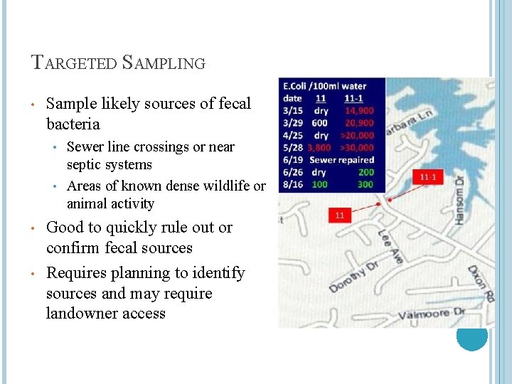 TARGETED SAMPLING • Sample likely sources of fecal bacteria Sewer line crossings or near