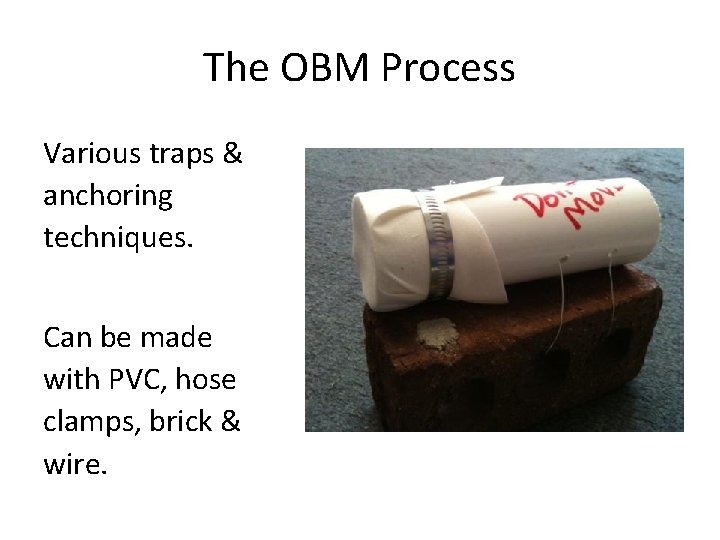 The OBM Process Various traps & anchoring techniques. Can be made with PVC, hose