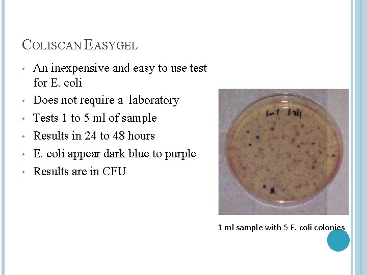 COLISCAN EASYGEL • • • An inexpensive and easy to use test for E.