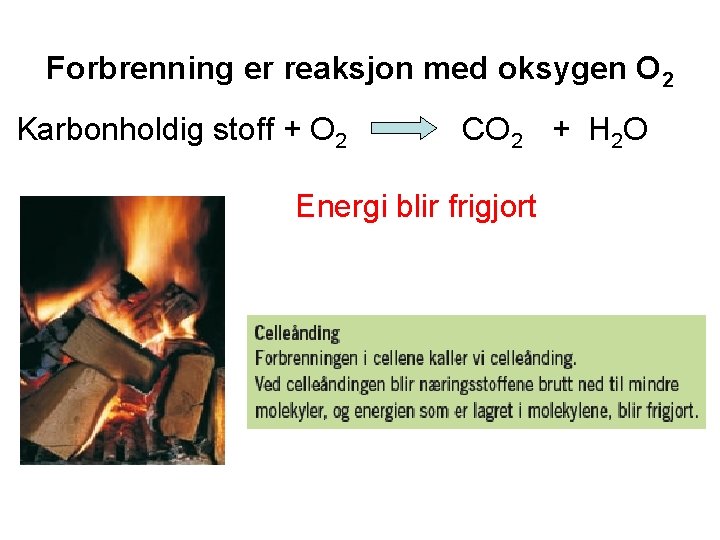 Forbrenning er reaksjon med oksygen O 2 Karbonholdig stoff + O 2 CO 2