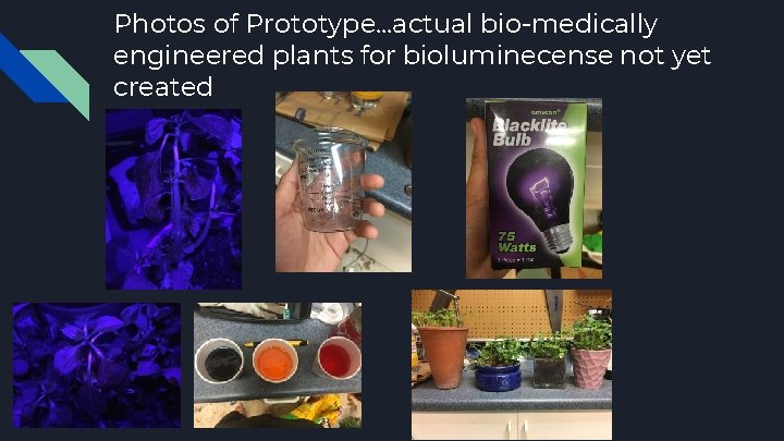 Photos of Prototype. . . actual bio-medically engineered plants for bioluminecense not yet created