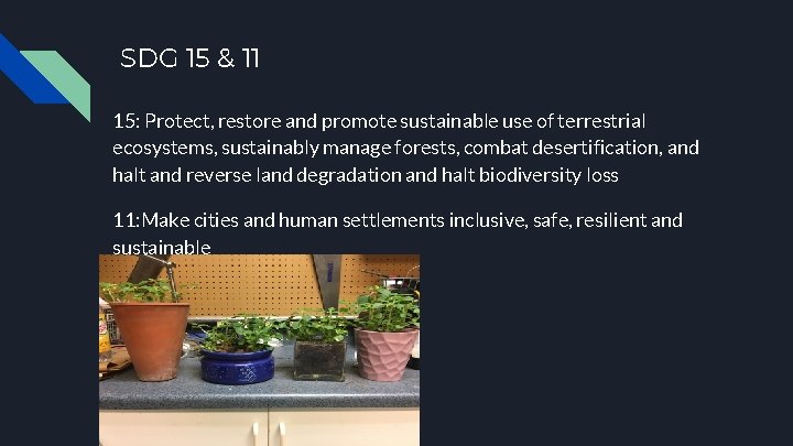 SDG 15 & 11 15: Protect, restore and promote sustainable use of terrestrial ecosystems,