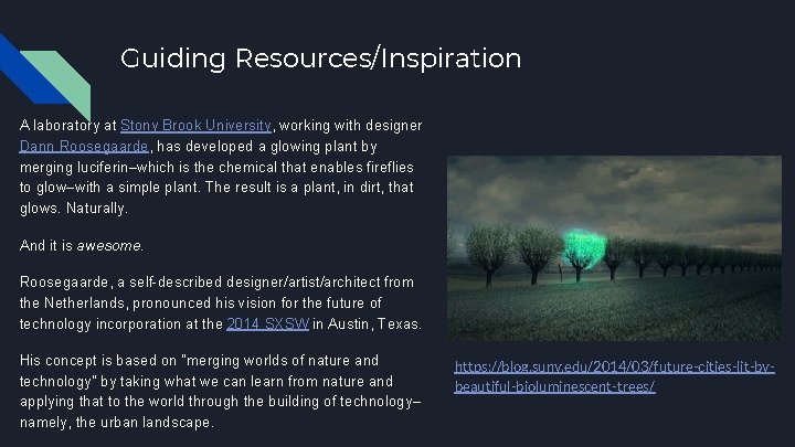 Guiding Resources/Inspiration A laboratory at Stony Brook University, working with designer Dann Roosegaarde, has