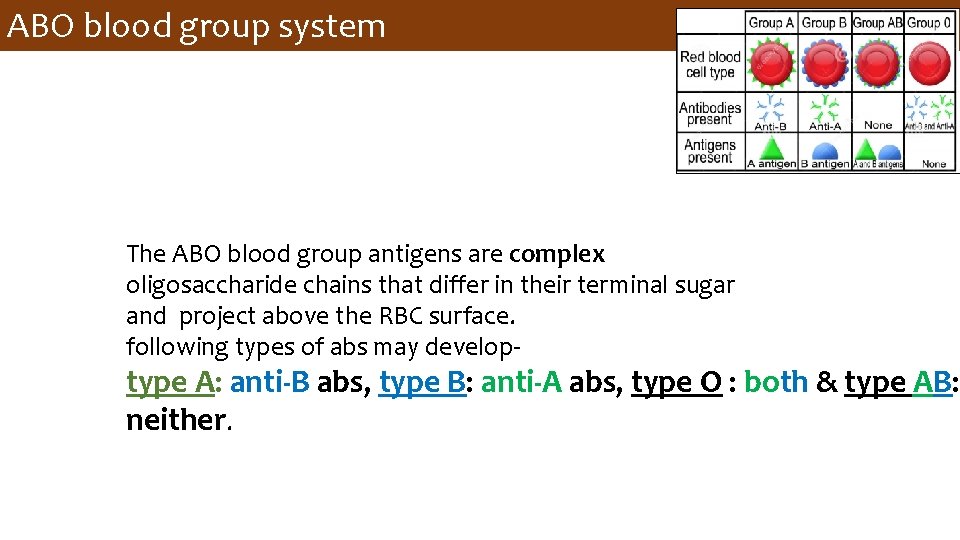 ABO blood group system The ABO blood group antigens are complex oligosaccharide chains that