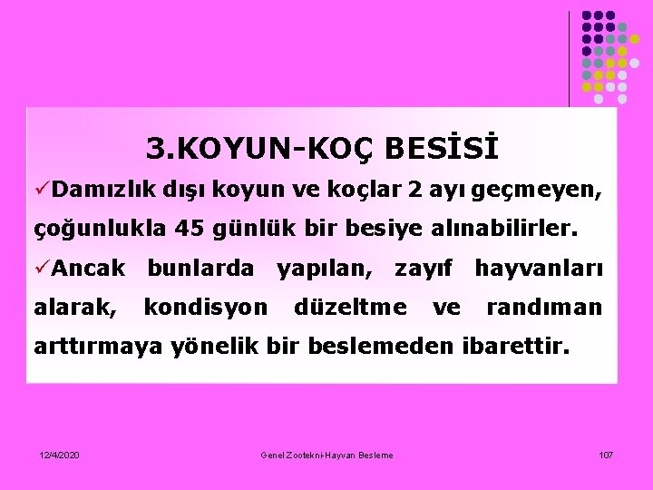 3. KOYUN-KOÇ BESİSİ üDamızlık dışı koyun ve koçlar 2 ayı geçmeyen, çoğunlukla 45 günlük