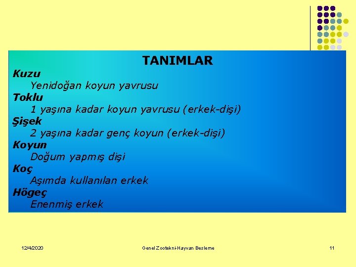 TANIMLAR Kuzu Yenidoğan koyun yavrusu Toklu 1 yaşına kadar koyun yavrusu (erkek-dişi) Şişek 2