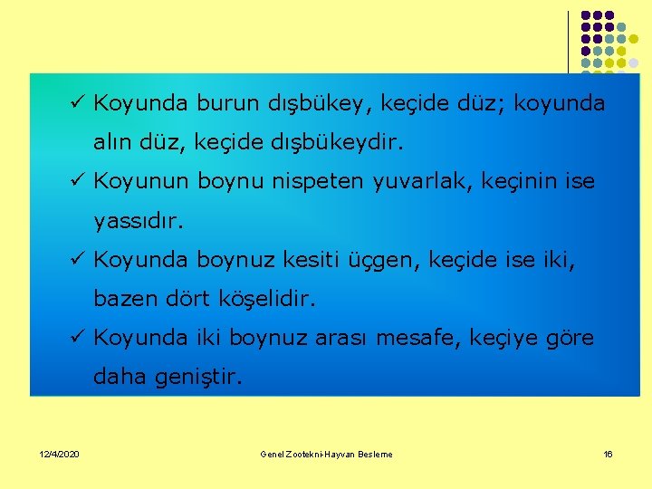 ü Koyunda burun dışbükey, keçide düz; koyunda alın düz, keçide dışbükeydir. ü Koyunun boynu