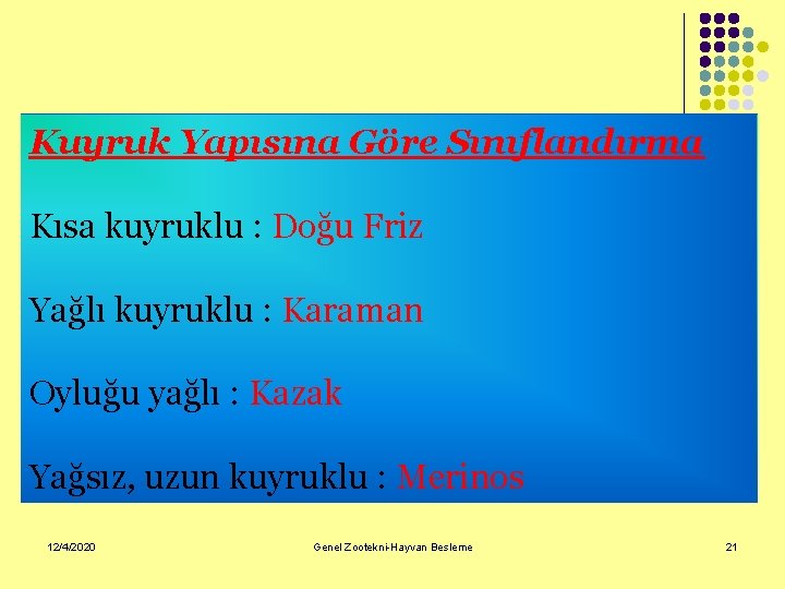 Kuyruk Yapısına Göre Sınıflandırma Kısa kuyruklu : Doğu Friz Yağlı kuyruklu : Karaman Oyluğu