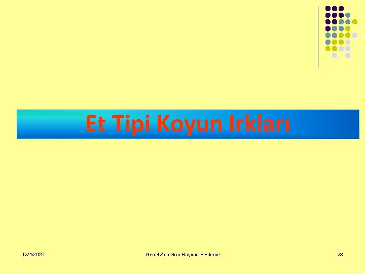 Et Tipi Koyun Irkları 12/4/2020 Genel Zootekni-Hayvan Besleme 23 