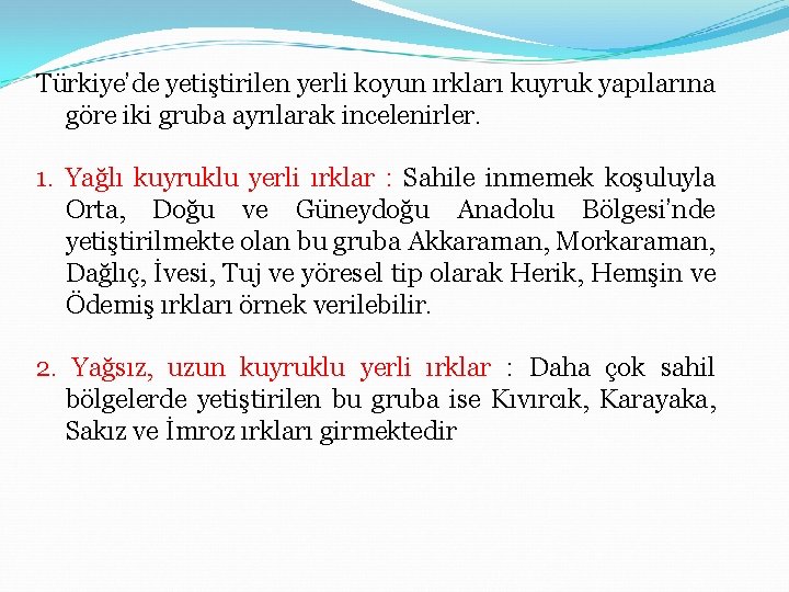 Türkiye’de yetiştirilen yerli koyun ırkları kuyruk yapılarına göre iki gruba ayrılarak incelenirler. 1. Yağlı