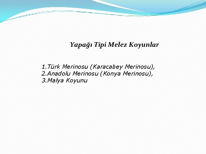 Yapağı Tipi Melez Koyunlar 1. Türk Merinosu (Karacabey Merinosu), 2. Anadolu Merinosu (Konya Merinosu),