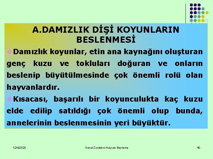 A. DAMIZLIK DİŞİ KOYUNLARIN BESLENMESİ v. Damızlık koyunlar, etin ana kaynağını oluşturan genç kuzu